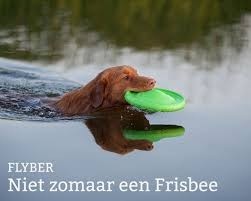 Peave Uittreksel Netelig FLYBER - De beste Honden Frisbee! - The BamBam Shop