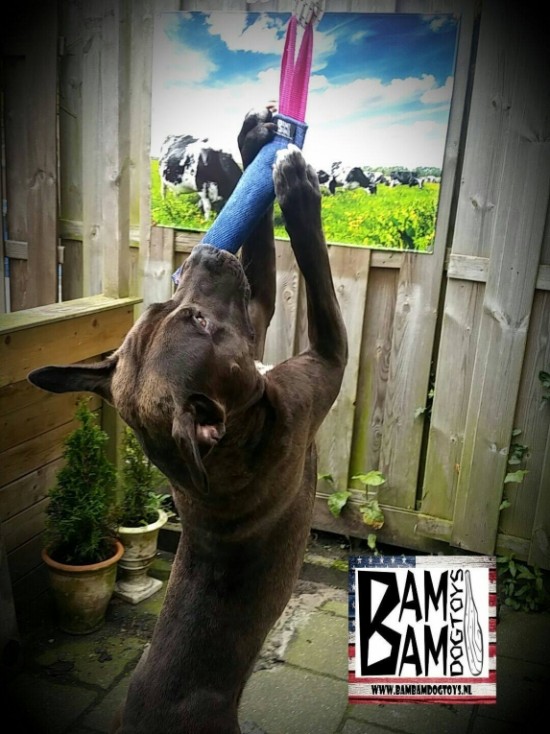 Bijtrol Nylcot Normaal (N) 27 x 7,5 cm