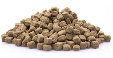 Adult active e1457677543837 3