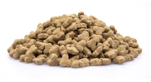 Adult senior light 1