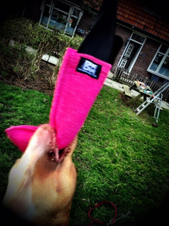 Bijtrol Nylcot Normaal (N) 27 x 7,5 cm