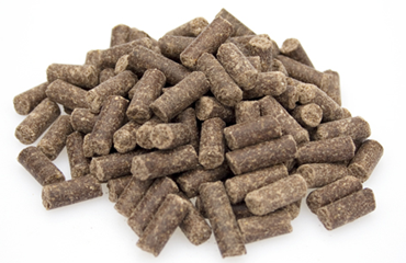 Premium excellent e1457677464579 1