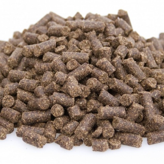 Premium puppy excellent 800x800 1