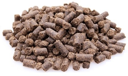 Super premium excellent active 1