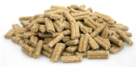 Super premium excellent lamb rice 1