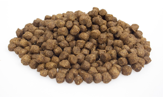 Super premium mini lamb rice 6